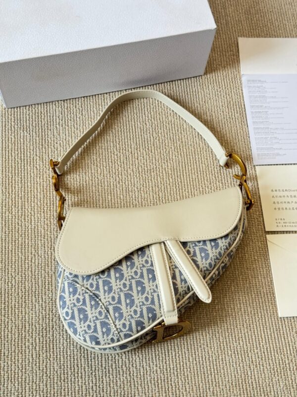 Dior Saddle Raffia bag